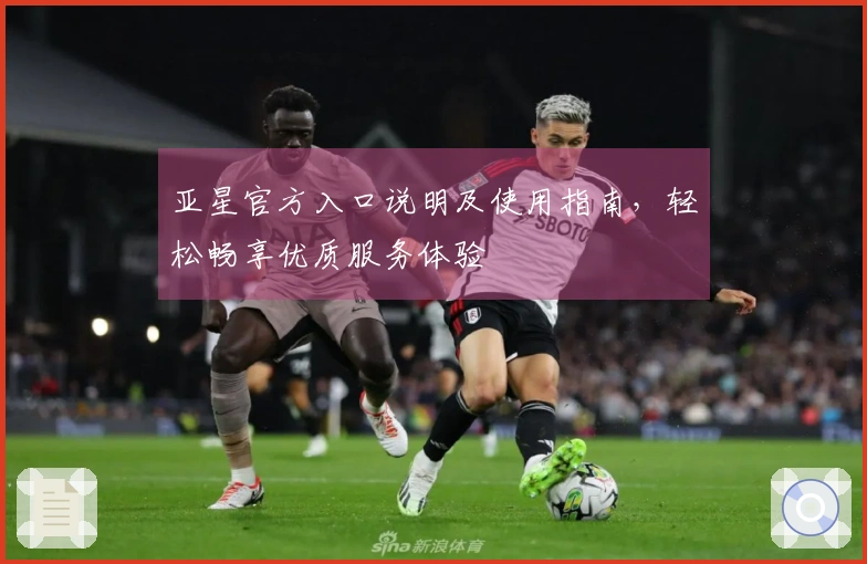 亚星官方入口说明及使用指南，轻松畅享优质服务体验