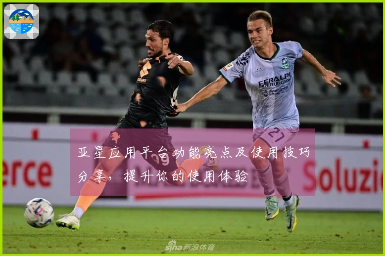 亚星应用平台功能亮点及使用技巧分享，提升你的使用体验